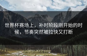 世界杯赛场上，补时阶段刚开始的时候，节奏突然被拉快又打断