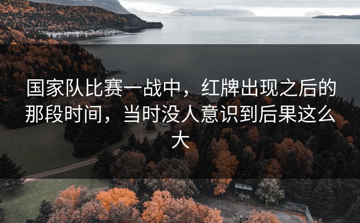 国家队比赛一战中，红牌出现之后的那段时间，当时没人意识到后果这么大